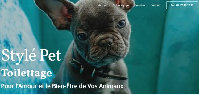 Site web pour artisans ; Bannière du site Stylé Pet